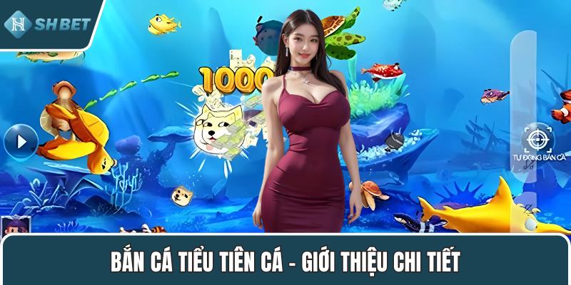 Bắn cá tiểu tiên cá – Giới thiệu chi tiết