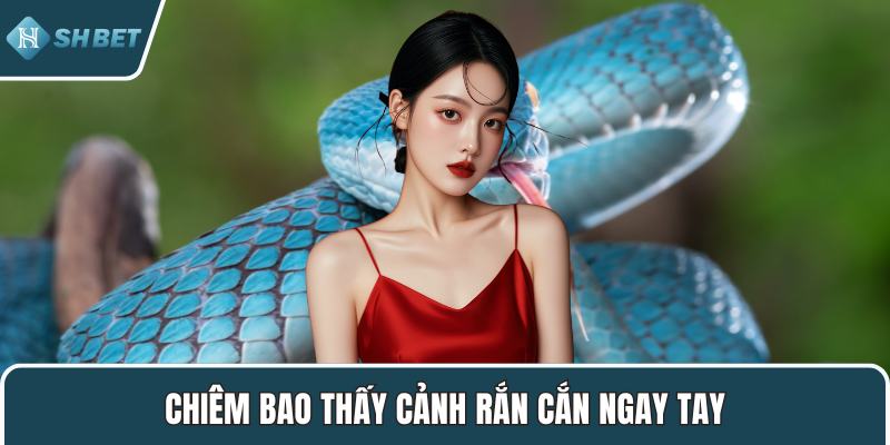 Chiêm bao thấy cảnh rắn cắn ngay tay