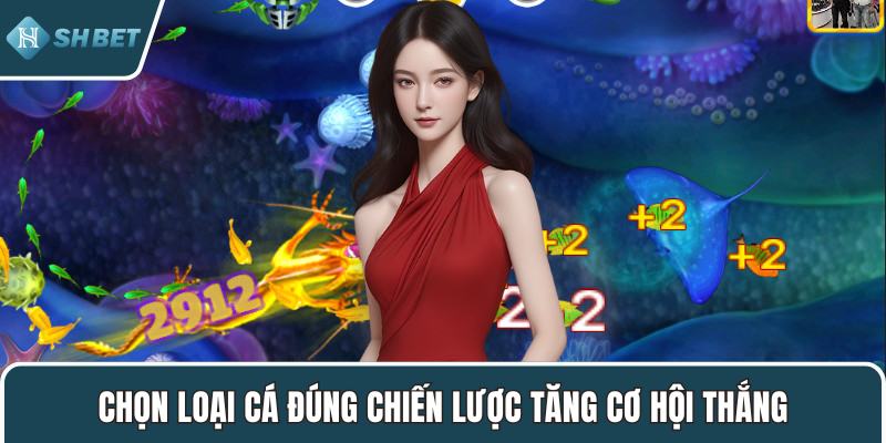 Chọn loại cá đúng chiến lược tăng cơ hội thắng