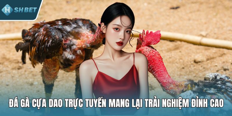Đá Gà Cựa Dao Trực Tuyến Mang Lại Trải Nghiệm Đỉnh Cao