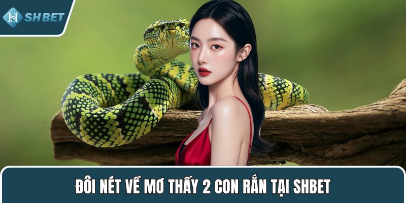 Đôi nét về mơ thấy 2 con rắn tại SHBET