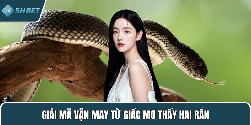 Giải mã vận may từ giấc mơ thấy hai rắn