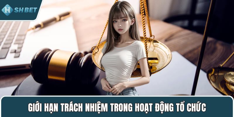 Giới hạn trách nhiệm trong hoạt động tổ chức