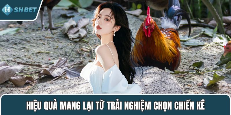 Hiệu quả mang lại từ trải nghiệm chọn chiến kê
