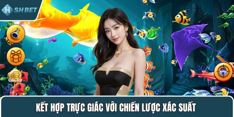 Kết hợp trực giác với chiến lược xác suất
