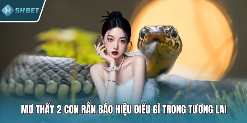 Mơ Thấy 2 Con Rắn Báo Hiệu Điều Gì Trong Tương Lai