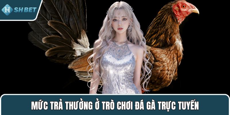 Mức trả thưởng ở trò chơi đá gà trực tuyến
