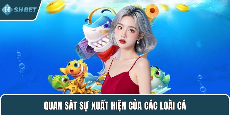 Quan sát sự xuất hiện của các loài cá