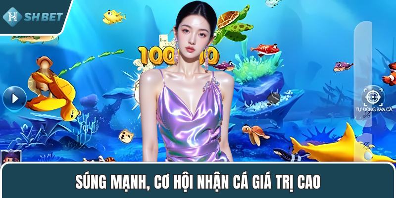 Súng mạnh, cơ hội nhận cá giá trị cao