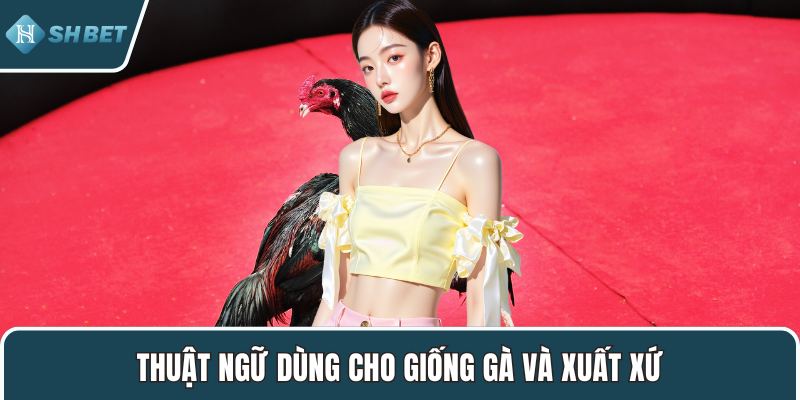 Thuật ngữ dùng cho giống gà và xuất xứ