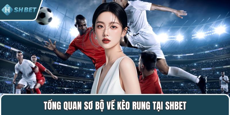 Tổng quan sơ bộ về kèo rung tại SHBET